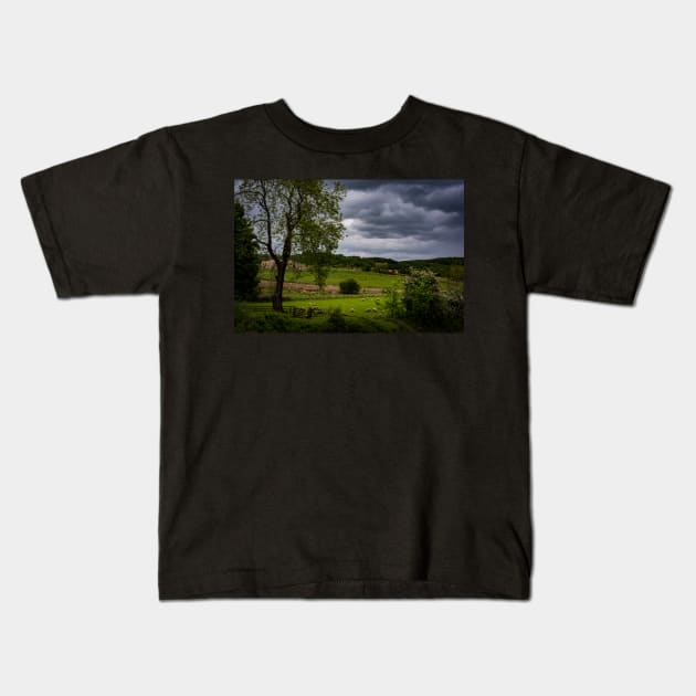 County Durham Countryside Sheep Kids T-Shirt by axp7884